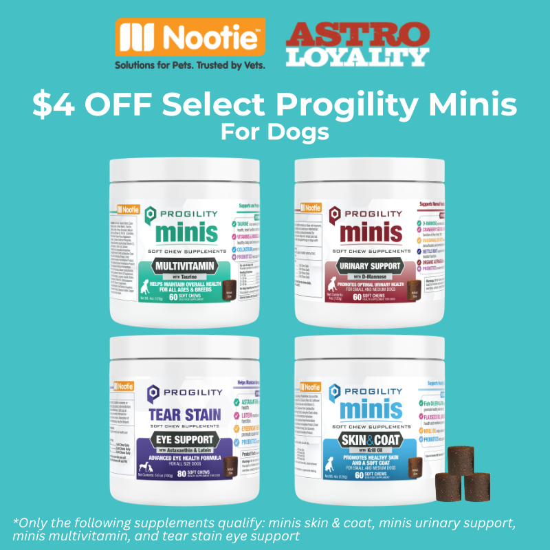 Promotion Image
