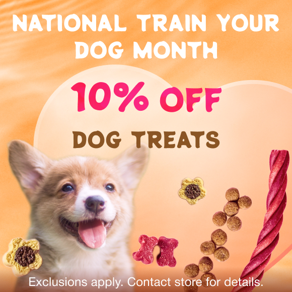 Promotion Image