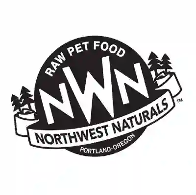 Image Alternative Text