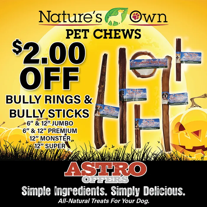 Promotion Image