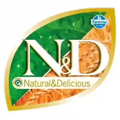 Image Alternative Text