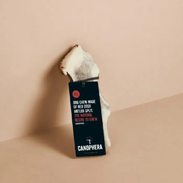 Canophera Xlarge Dog Split Red Deer Antler Chew Ea