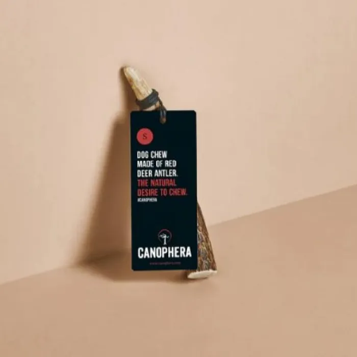 Canophera Small Dog Full Red Deer Antler Chew Ea